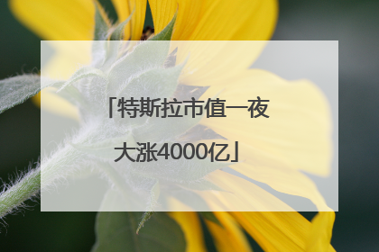 特斯拉市值一夜大涨4000亿