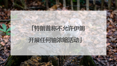 特朗普称不允许伊朗开展任何铀浓缩活动