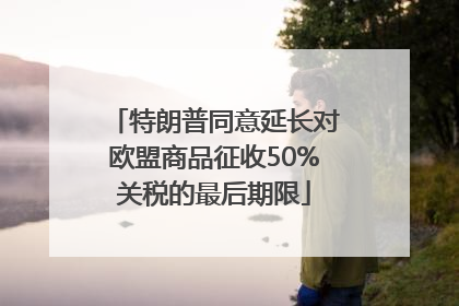 特朗普同意延长对欧盟商品征收50%关税的最后期限