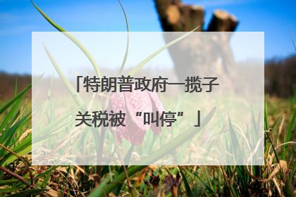 特朗普政府一揽子关税被“叫停”