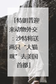 特朗普迎来动物外交：沙特将送两只“大猫咪”去美国首都