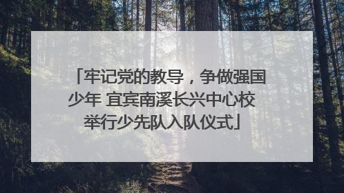 牢记党的教导，争做强国少年 宜宾南溪长兴中心校举行少先队入队仪式