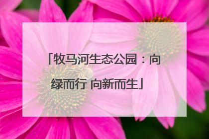 牧马河生态公园：向绿而行 向新而生