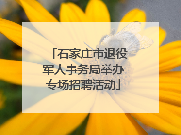 石家庄市退役军人事务局举办专场招聘活动