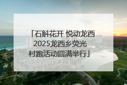 石斛花开 悦动龙西 2025龙西乡荧光村跑活动圆满举行