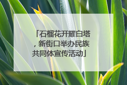 石榴花开耀白塔，新街口举办民族共同体宣传活动