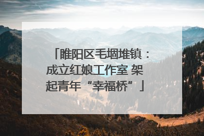 睢阳区毛堌堆镇：成立红娘工作室 架起青年“幸福桥”