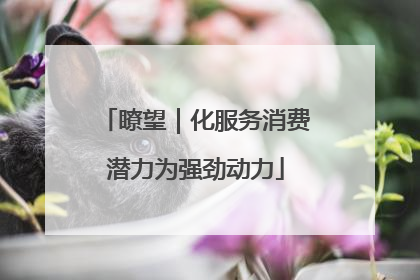 瞭望｜化服务消费潜力为强劲动力