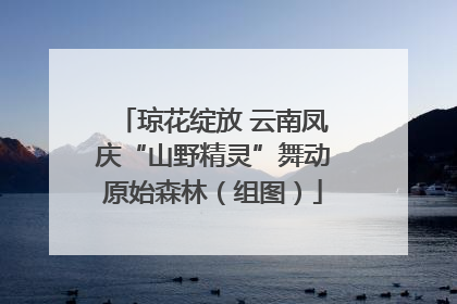 琼花绽放 云南凤庆“山野精灵”舞动原始森林（组图）