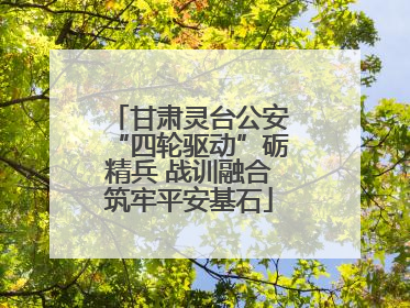 甘肃灵台公安“四轮驱动”砺精兵 战训融合筑牢平安基石