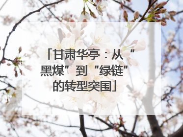 甘肃华亭：从“黑煤”到“绿链”的转型突围
