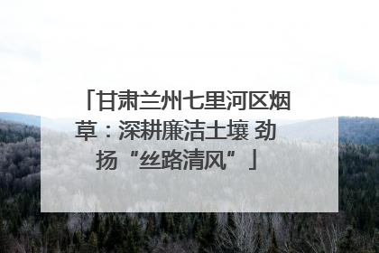 甘肃兰州七里河区烟草：深耕廉洁土壤 劲扬“丝路清风”