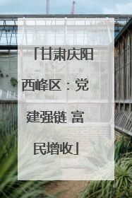 甘肃庆阳西峰区：党建强链 富民增收