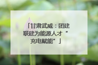 甘肃武威：团建联建为能源人才“充电赋能”