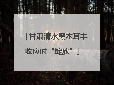 甘肃清水黑木耳丰收应时“绽放”