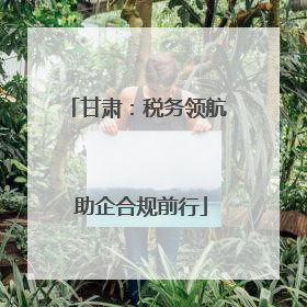 甘肃：税务领航 助企合规前行