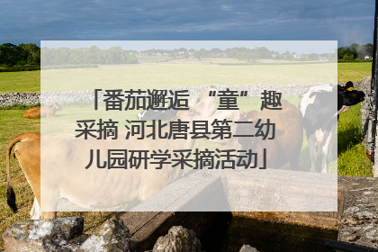 番茄邂逅 “童”趣采摘 河北唐县第二幼儿园研学采摘活动