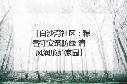 白沙湾社区：粽香守安筑防线 清风润廉护家园