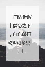 白话拆解丨情急之下，白宫敲打欧盟和苹果！
