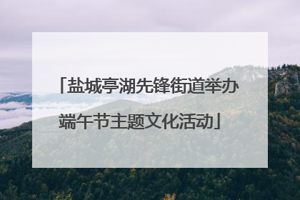 盐城亭湖先锋街道举办端午节主题文化活动