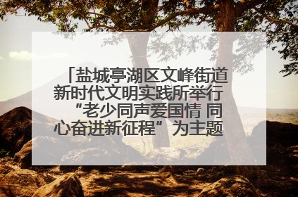 盐城亭湖区文峰街道新时代文明实践所举行“老少同声爱国情 同心奋进新征程”为主题的红色文化活动
