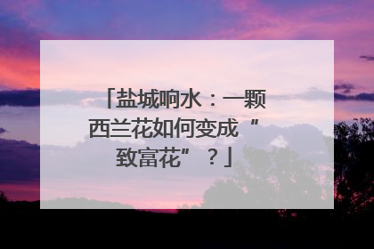 盐城响水：一颗西兰花如何变成“致富花”？