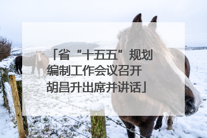 省“十五五”规划编制工作会议召开 胡昌升出席并讲话