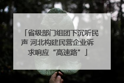 省级部门组团下沉听民声 河北构建民营企业诉求响应“高速路”