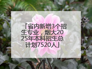 省内新增3个招生专业，烟大2025年本科招生总计划7520人