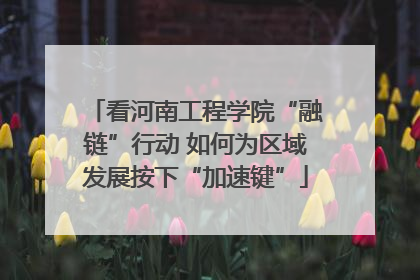 看河南工程学院“融链”行动 如何为区域发展按下“加速键”