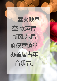 篝火映星空 歌声传新风 东昌府侯营镇举办首届青年音乐节