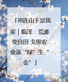 祁连山下是我家｜临泽：荒滩变良田 戈壁农业添“绿”生“金”
