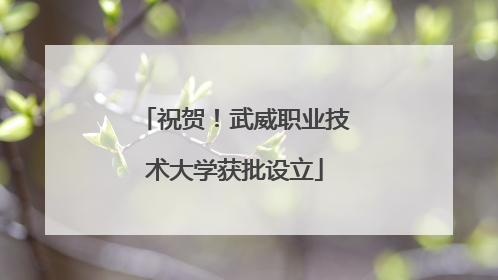 祝贺！武威职业技术大学获批设立