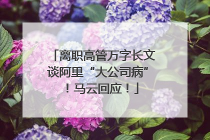 离职高管万字长文谈阿里“大公司病”！马云回应！