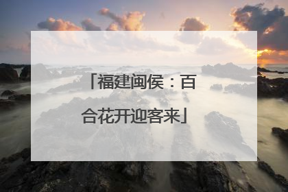 福建闽侯：百合花开迎客来