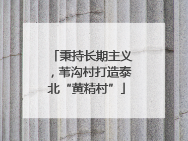 秉持长期主义，苇沟村打造泰北“黄精村”