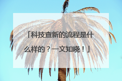科技查新的流程是什么样的？一文知晓！