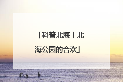 科普北海丨北海公园的合欢