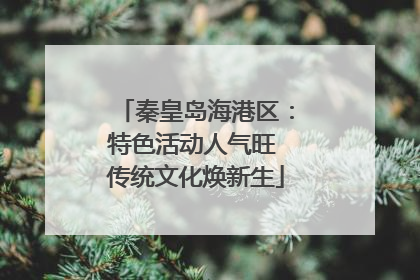 秦皇岛海港区：特色活动人气旺 传统文化焕新生