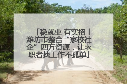 稳就业 有实招丨潍坊市整合“家校社企”四方资源，让求职者找工作不孤单