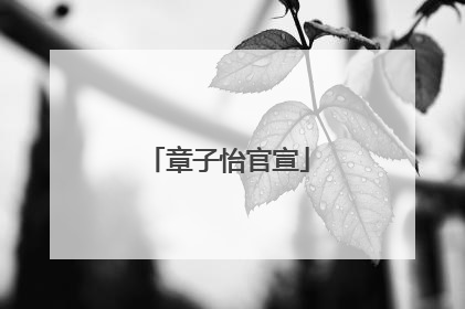 章子怡官宣