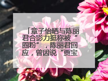 章子怡晒与陈丽君合影力挺称被“圈粉”，陈丽君回应，曾因说“贾宝玉是长子长孙”惹争议