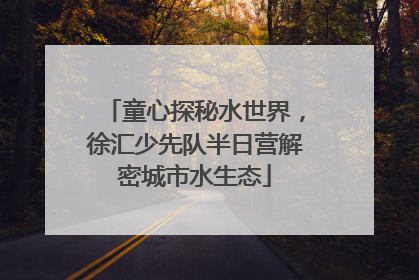 童心探秘水世界，徐汇少先队半日营解密城市水生态