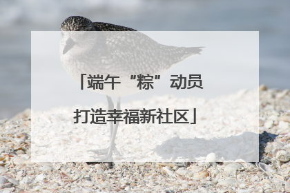 端午“粽”动员 打造幸福新社区