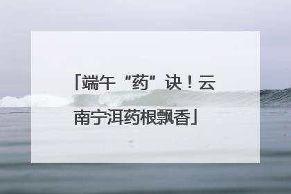 端午“药”诀！云南宁洱药根飘香