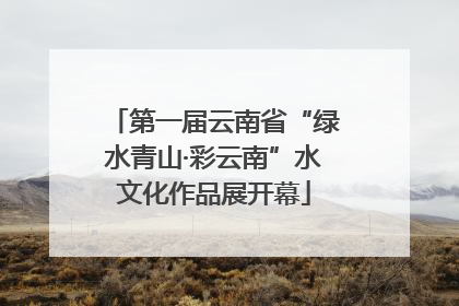 第一届云南省“绿水青山·彩云南”水文化作品展开幕