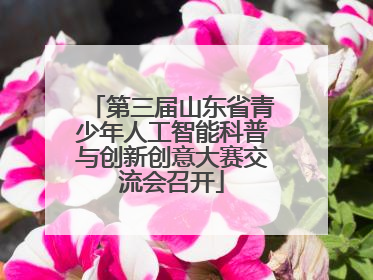第三届山东省青少年人工智能科普与创新创意大赛交流会召开