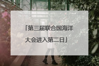 第三届联合国海洋大会进入第二日