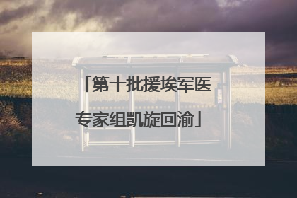 第十批援埃军医专家组凯旋回渝