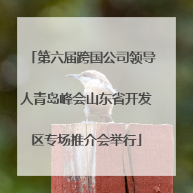 第六届跨国公司领导人青岛峰会山东省开发区专场推介会举行